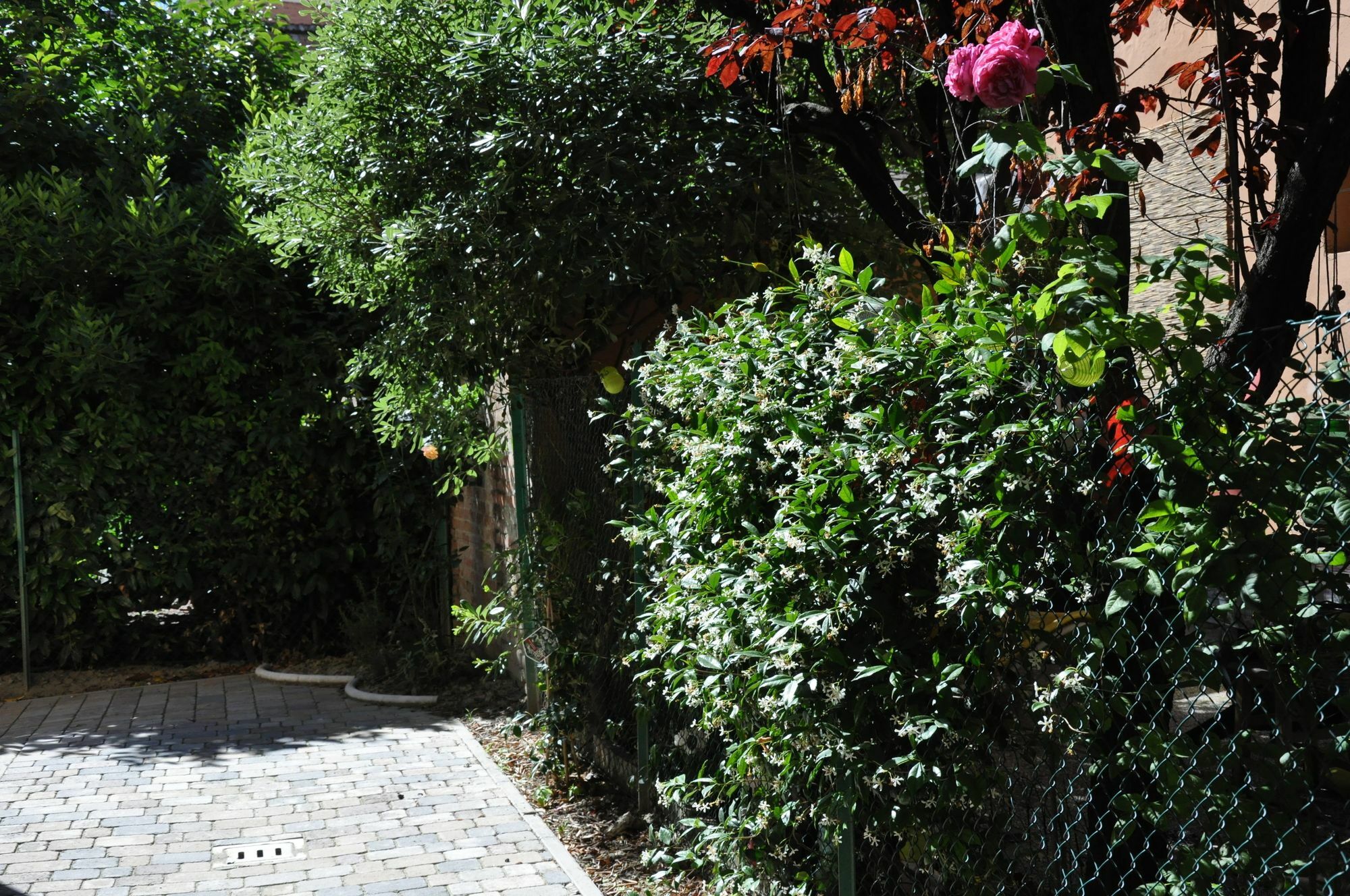 Casa Ardizzoni Affittacamere Bologna Exterior photo